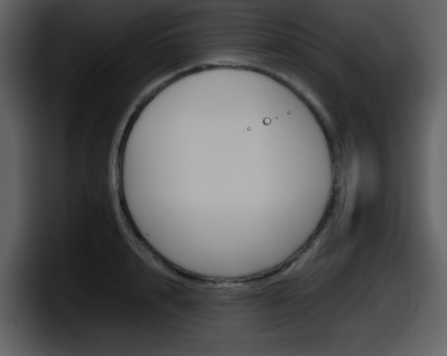X0000098100848200804040745