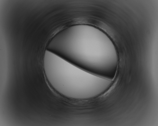 X0000098100849200804040745