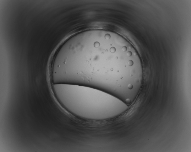 X0000098100851200804040745