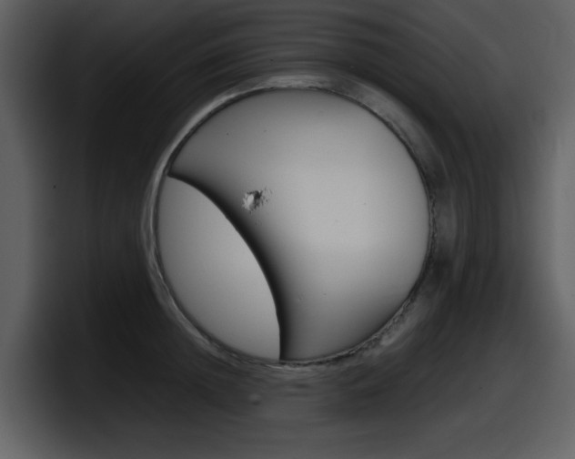 X0000098100852200804040745
