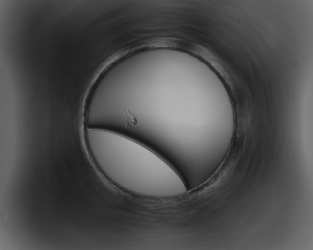 X0000098100853200804040745
