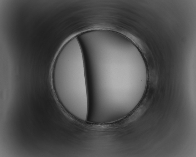 X0000098100854200804040745