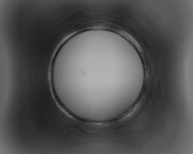 X0000098100855200804040745