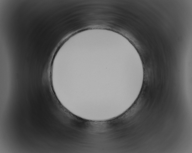 X0000098100856200804040745