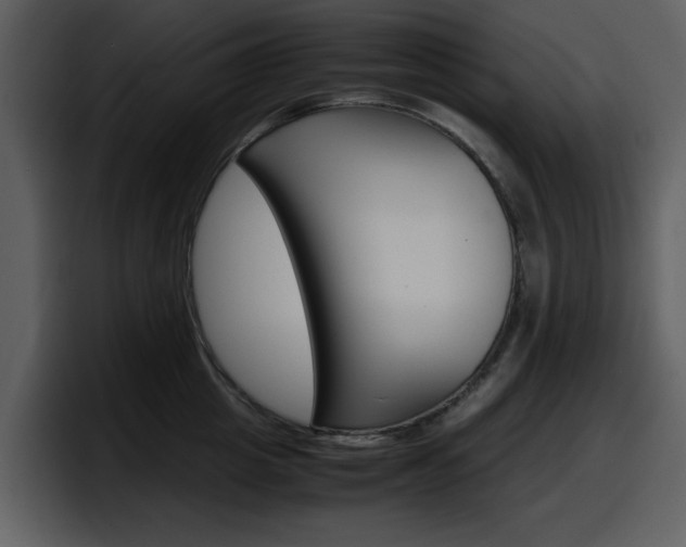 X0000098100857200804040745