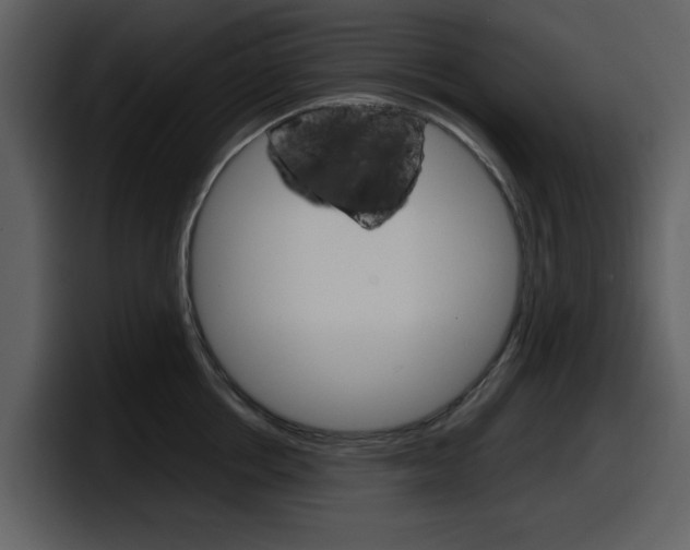 X0000098100858200804040745