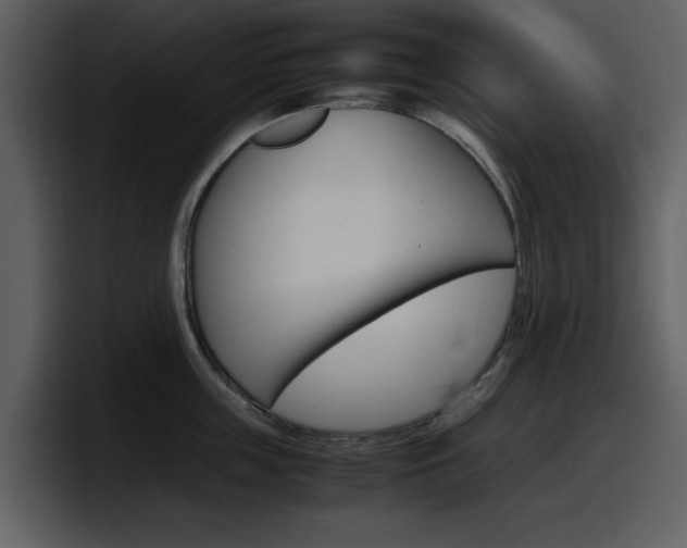X0000098100859200804040745