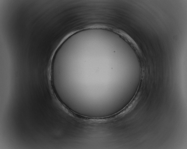 X0000098100860200804040745