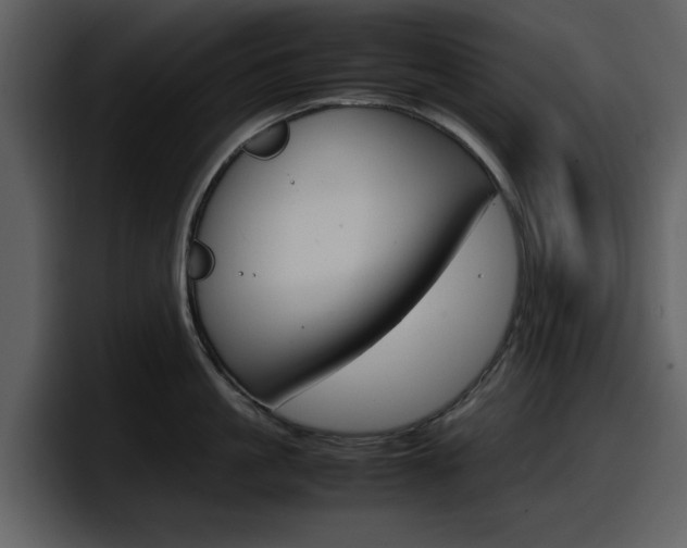 X0000098100861200804040745