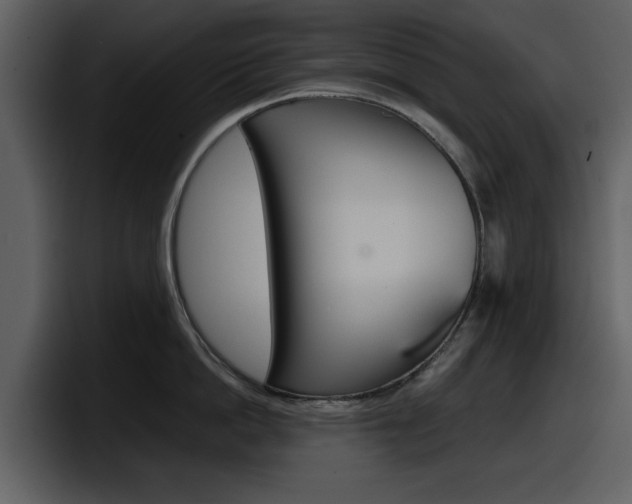 X0000098100862200804040745