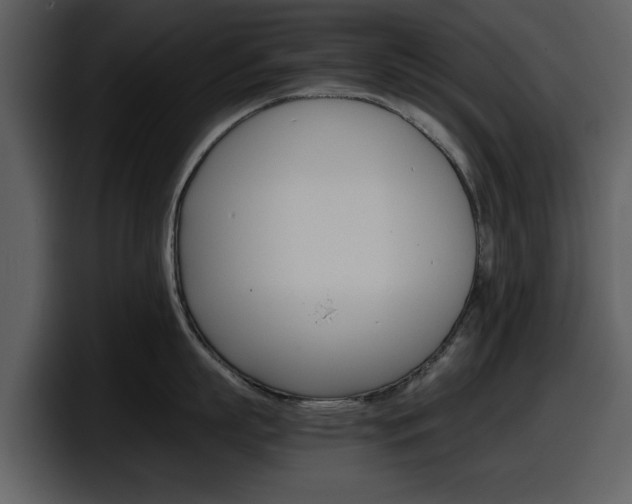 X0000098100863200804040745