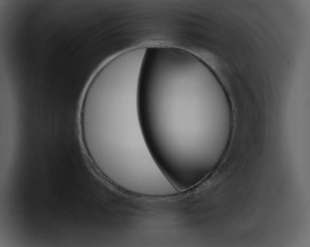 X0000098100864200804040745