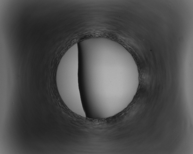 X0000098100865200804040744