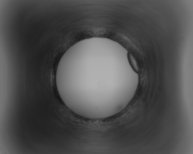 X0000098100866200804040744