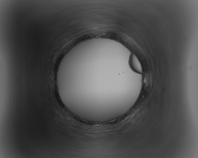X0000098100867200804040744