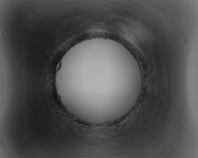 X0000098100870200804040744