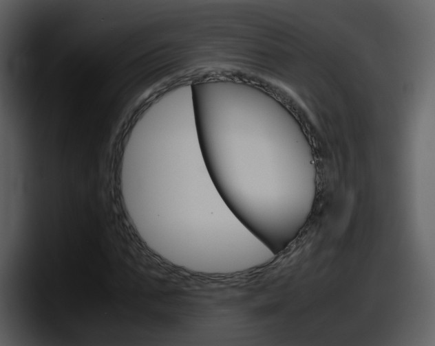 X0000098100871200804040744