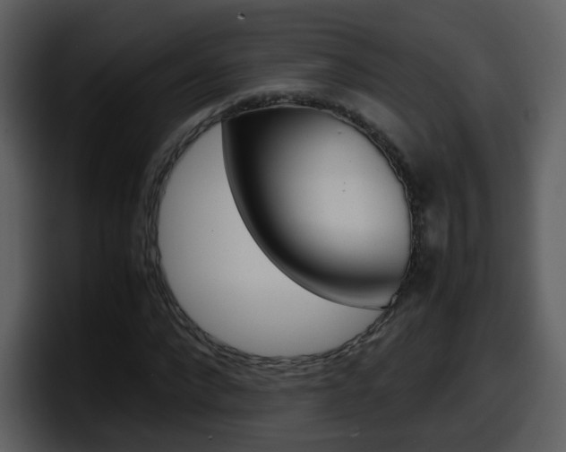 X0000098100872200804040744