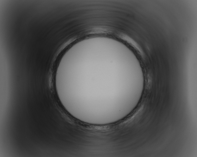 X0000098100874200804040744