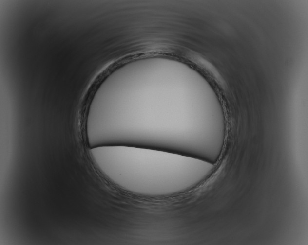 X0000098100875200804040744