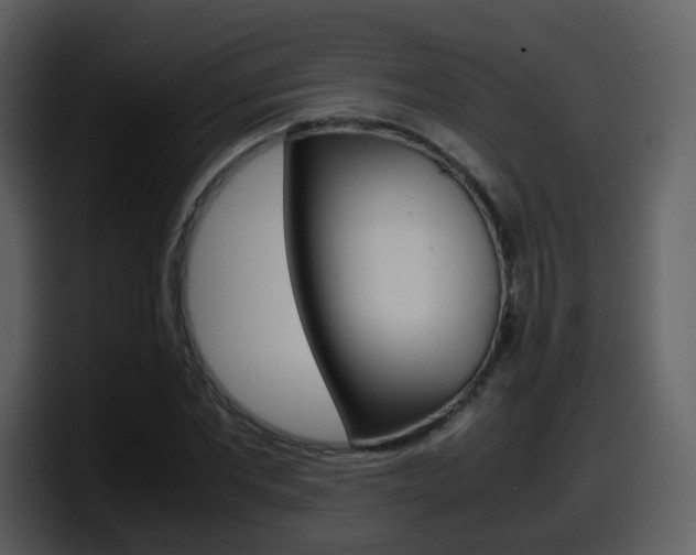 X0000098100877200804040744