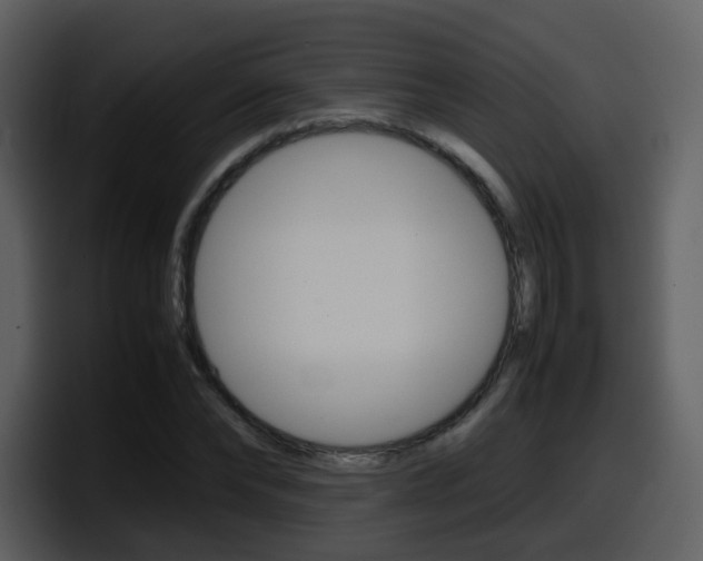X0000098100878200804040744