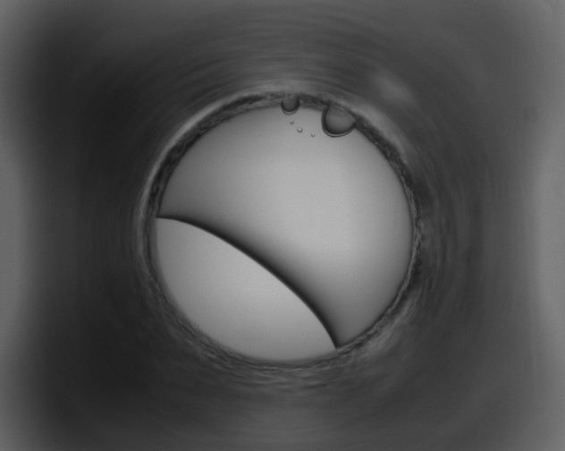 X0000098100879200804040744