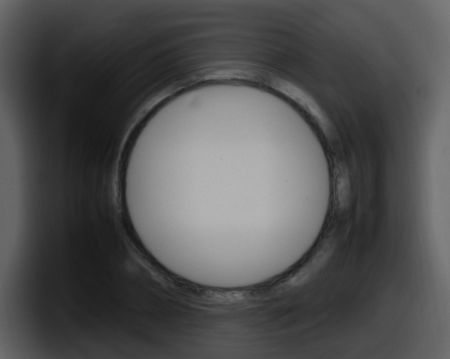 X0000098100882200804040744