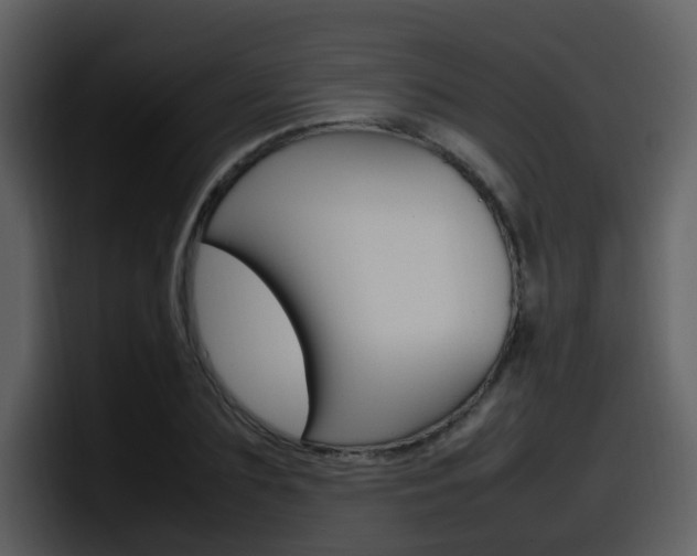 X0000098100883200804040744