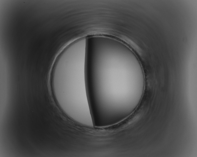 X0000098100885200804040744