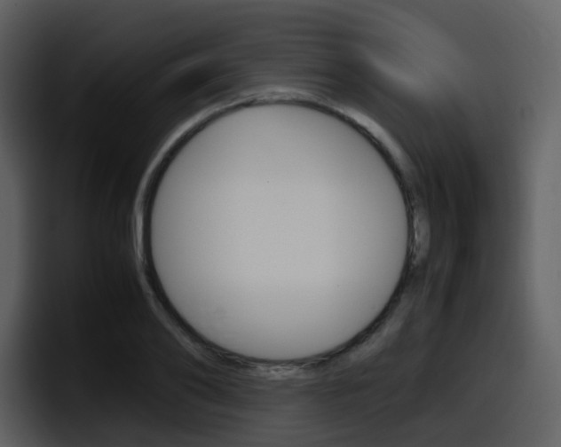 X0000098100886200804040744