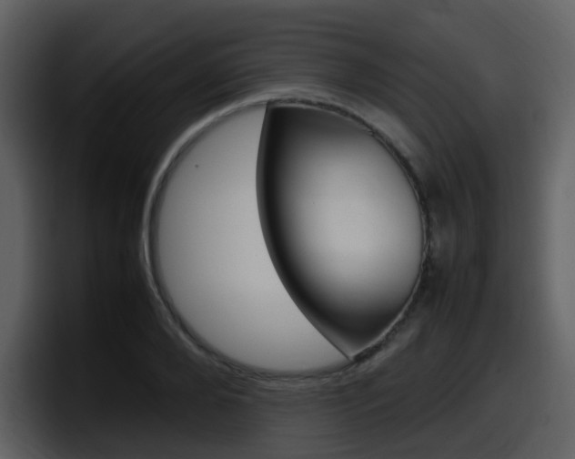 X0000098100888200804040744