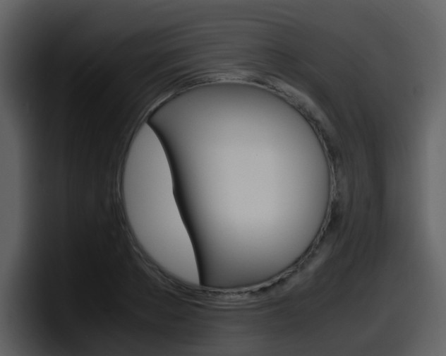 X0000098100889200804040744