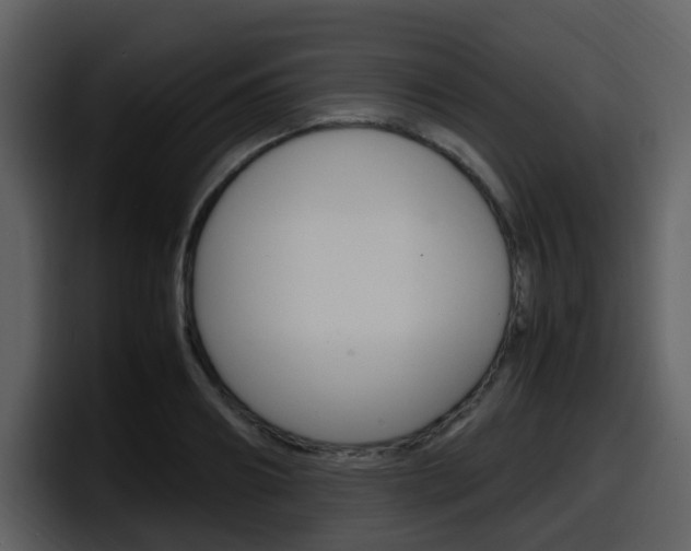 X0000098100890200804040744