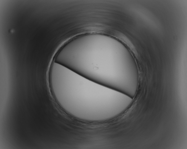 X0000098100891200804040744