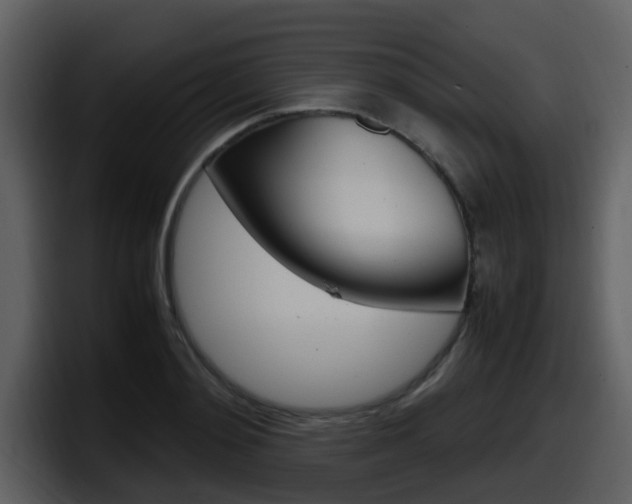 X0000098100892200804040744