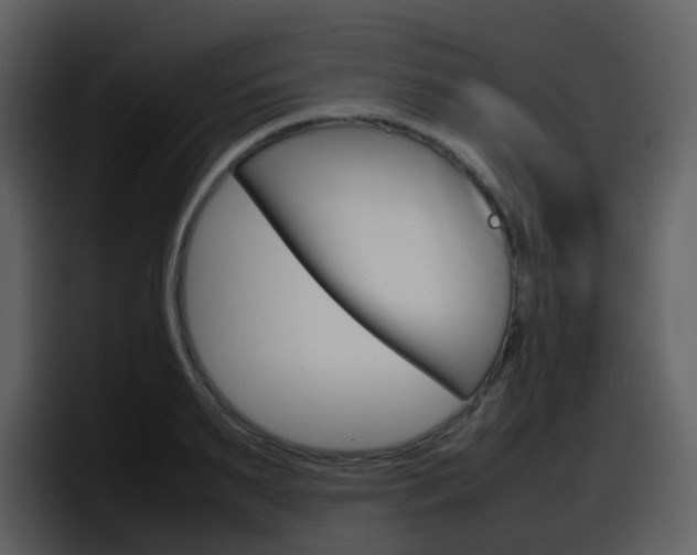 X0000098100895200804040744