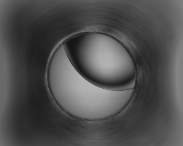 X0000098100896200804040744