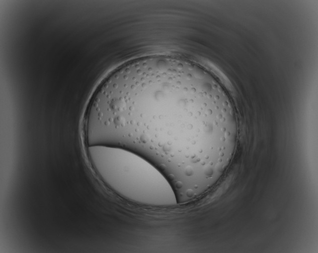 X0000098100899200804040744
