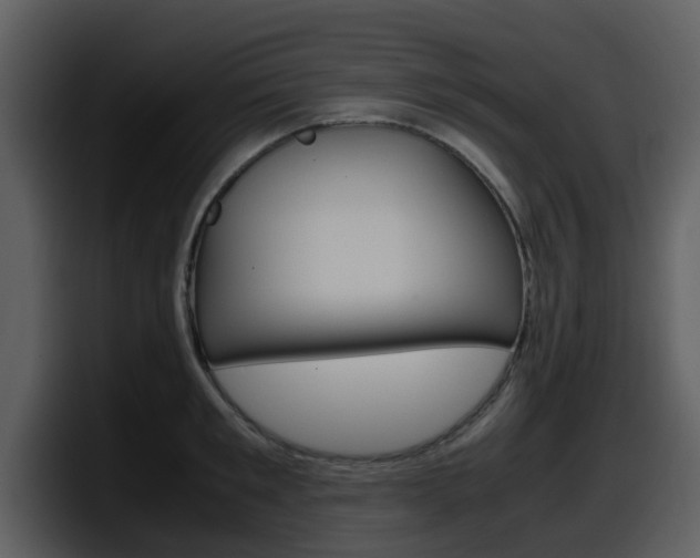 X0000098100901200804040744