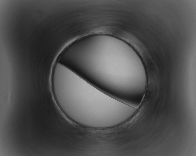 X0000098100902200804040744