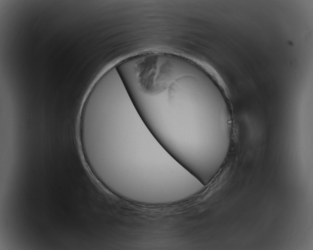 X0000098100903200804040744