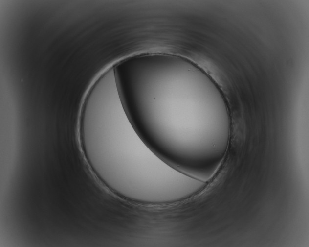 X0000098100904200804040744