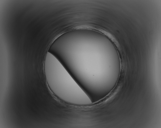 X0000098100905200804040744