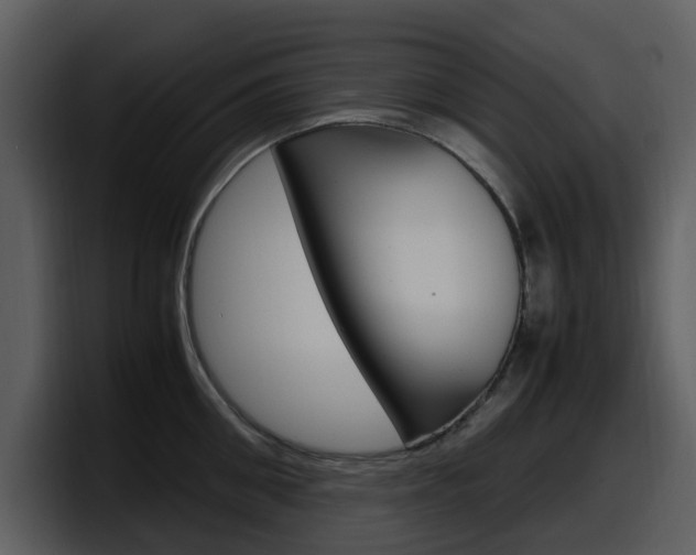 X0000098100906200804040744