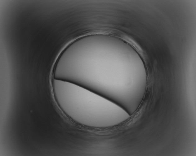 X0000098100907200804040744