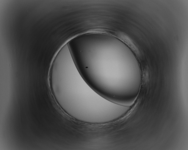 X0000098100908200804040744