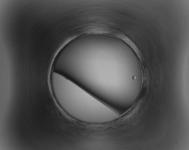 X0000098100909200804040744