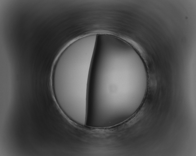 X0000098100910200804040744