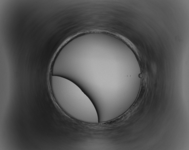 X0000098100911200804040744